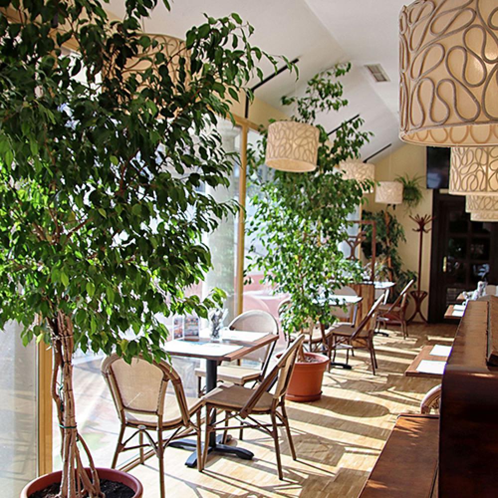 NEW Chef Recommodations