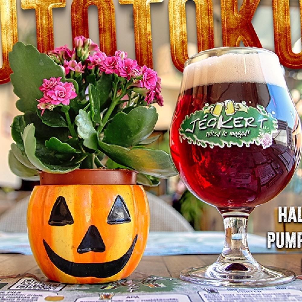 🎃 🍁  Halloween Napok a Jégkertben!🍁🎃 