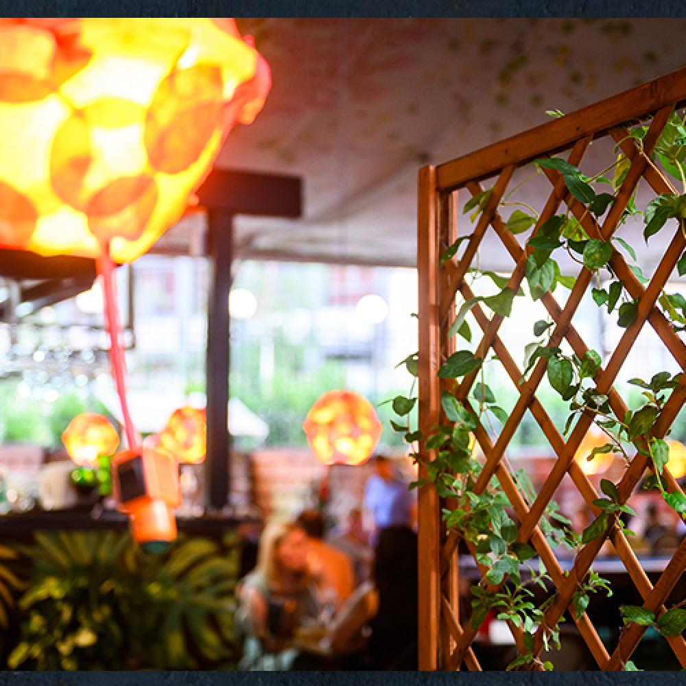 MEGNYITOTT óriás nyári kertünk 36 sörcsappal!